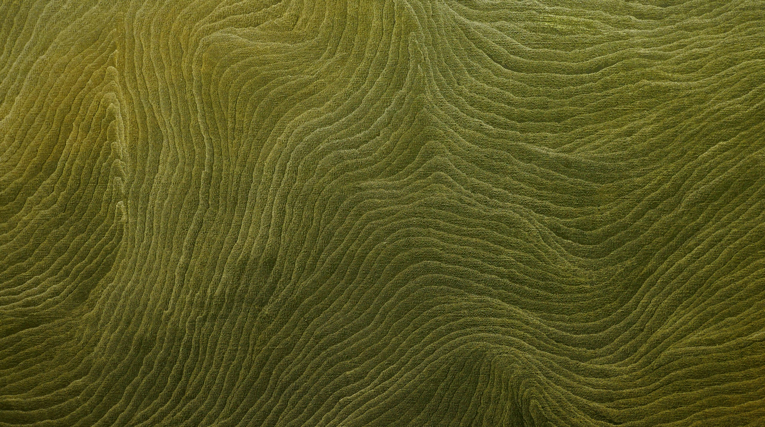 Vue rapprochée d'une surface verte et texturée présentant des lignes ondulées et organiques et des crêtes ressemblant à de la mousse ou à un paysage vu d'en haut.